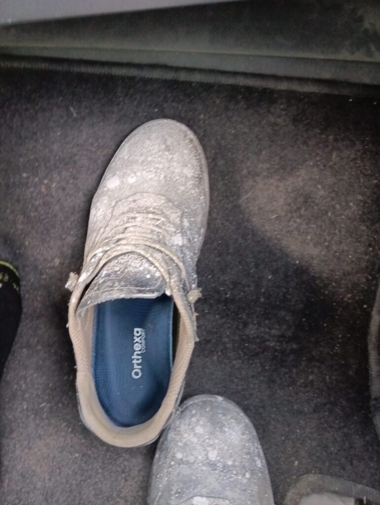 Image #1 from Blaise